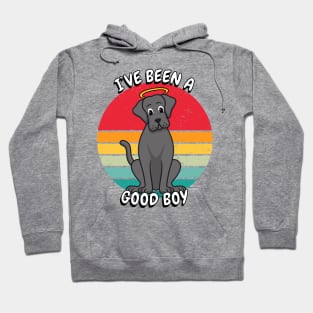 Cute Big Dog is a Good Boy Hoodie